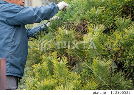 Japanese Gardener Japanese Gardener 133506522