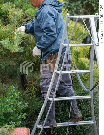 Japanese Gardener 133506524
