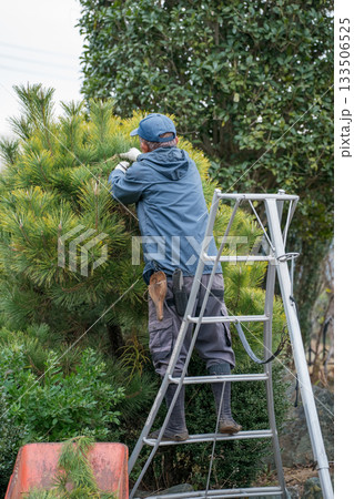 Japanese Gardener 133506525