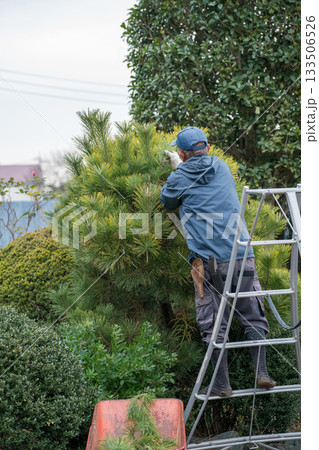 Japanese Gardener 133506526