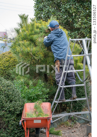 Japanese Gardener 133506527