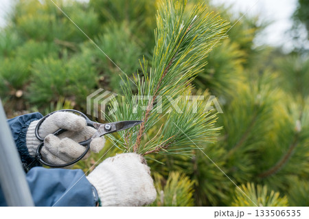 Japanese Gardener 133506535