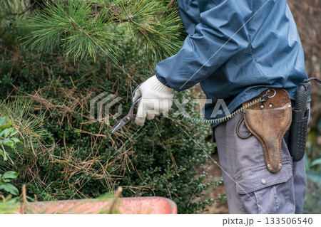 Japanese Gardener 133506540