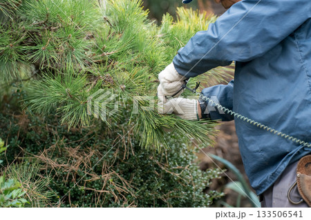 Japanese Gardener 133506541
