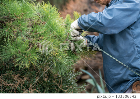 Japanese Gardener 133506542