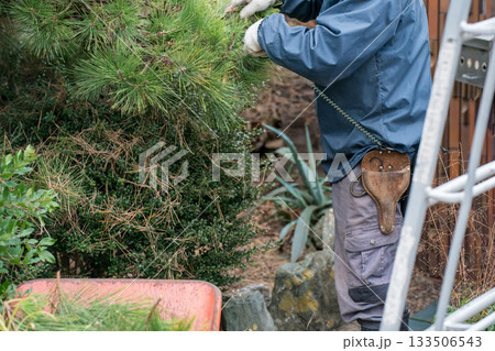 Japanese Gardener Japanese Gardener 133506543