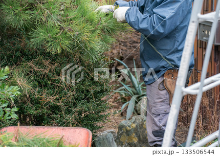 Japanese Gardener Japanese Gardener 133506544