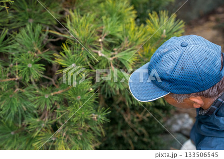 Japanese Gardener 133506545