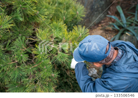Japanese Gardener 133506546