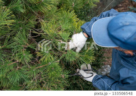 Japanese Gardener 133506548
