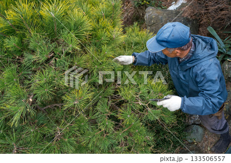 Japanese Gardener Japanese Gardener 133506557