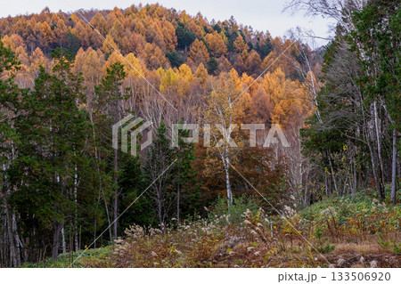 251106乗鞍青年の家m614 133506920