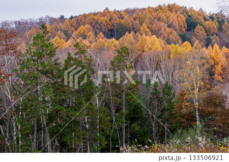 251106乗鞍青年の家m616 133506921