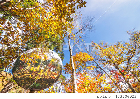 251106乗鞍青年の家s031 133506923