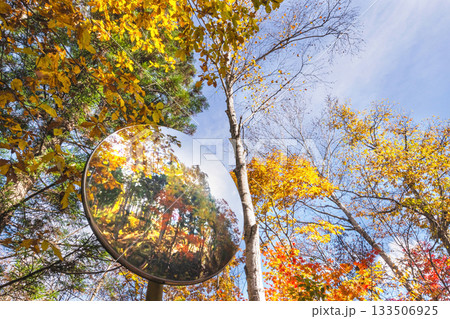 251106乗鞍青年の家s035 251106乗鞍青年の家s035 133506925