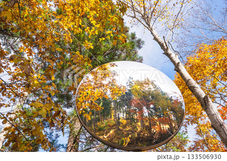 251106乗鞍青年の家s046 251106乗鞍青年の家s046 133506930