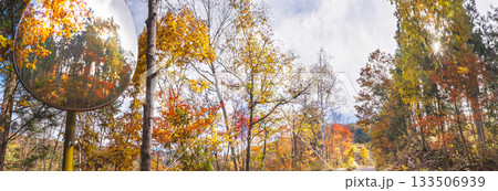 251106乗鞍青年の家z070-080P 133506939