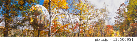 251106乗鞍青年の家z208-214P 133506951