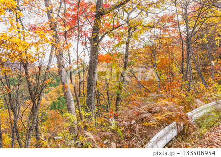 251106乗鞍青年の家z240 133506954