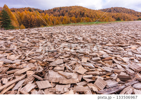 251106乗鞍青年の家z560 133506967