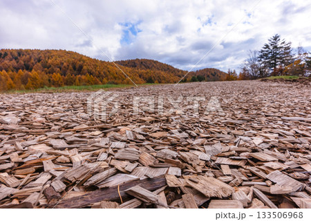 251106乗鞍青年の家z561 133506968