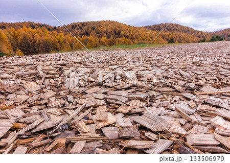 251106乗鞍青年の家z564 133506970