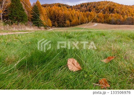 251106乗鞍青年の家z590 133506976