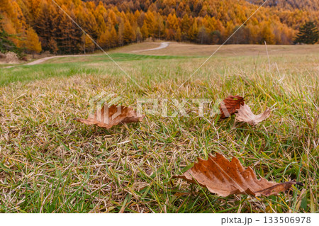 251106乗鞍青年の家z594 133506978