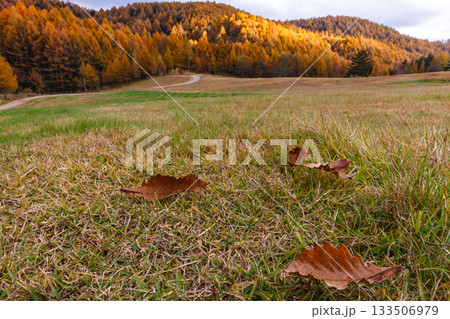 251106乗鞍青年の家z603 133506979