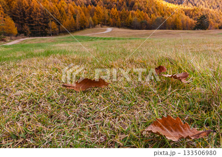 251106乗鞍青年の家z605 133506980