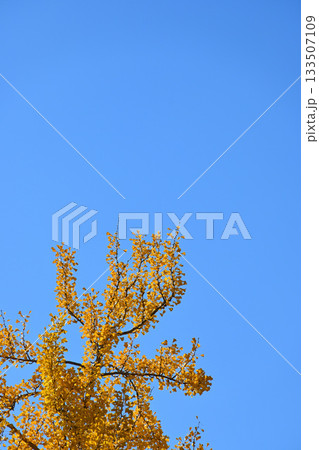 秋の風景 秋の風景 133507109