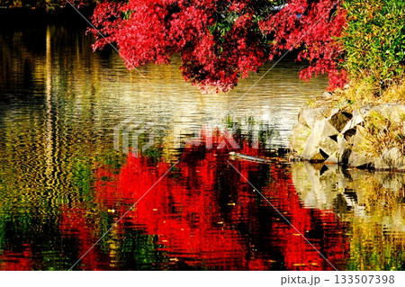 湖面に映るあざやかな紅葉 湖面に映るあざやかな紅葉 133507398
