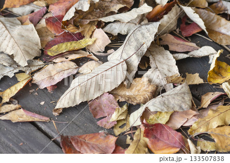 Autumn leaves fallen on the ground 133507838