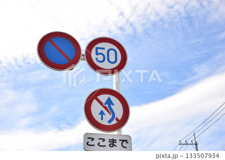 最高速度・駐車禁止・追い越しの為右側部分はみ出し禁止 133507934