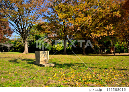 東京 都立水元公園のキャンプ場の秋 東京 都立水元公園のキャンプ場の秋 133508016