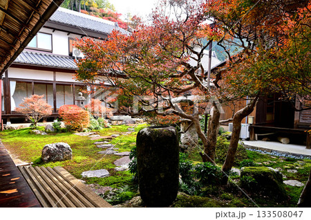 大龍寺　中庭 133508047