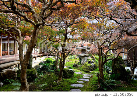 大龍寺　中庭 133508050