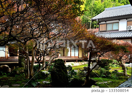 大龍寺 中庭 大龍寺 中庭 133508054