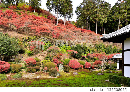 大龍寺　庭園 133508055
