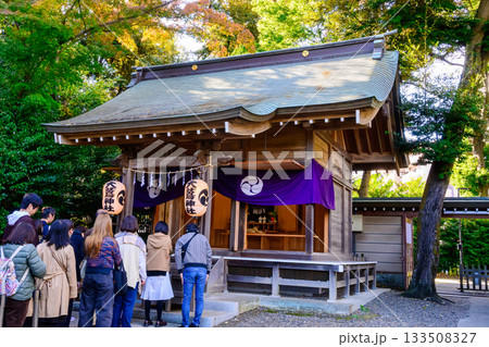 東京都　大國魂神社　大鷲神社例祭　大鷲神社（おおとりじんじゃ）　酉の市　例年酉の日のみ拝殿が開く 133508327
