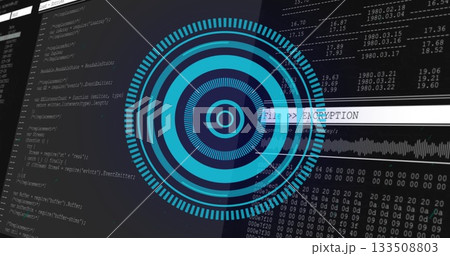 Displaying security interface at workstation, with encryption graphic, code and data panels 133508803