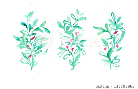 水彩画。水彩タッチのクリスマス植物背景フレーム。ヒイラギのクリスマスフレーム。ベクター化された水彩画 133508965