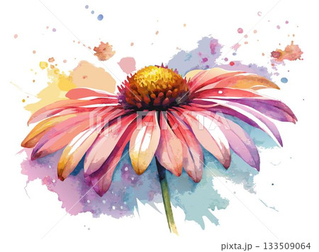 A close-up watercolor of coneflower petals, highlighting their delicate texture and the subtle variations in their color, rendered with precision and detail. 133509064