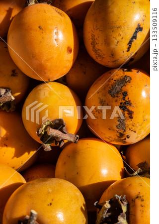 収穫した渋柿 133509116