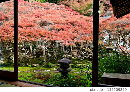 大龍寺　庭園 133509239