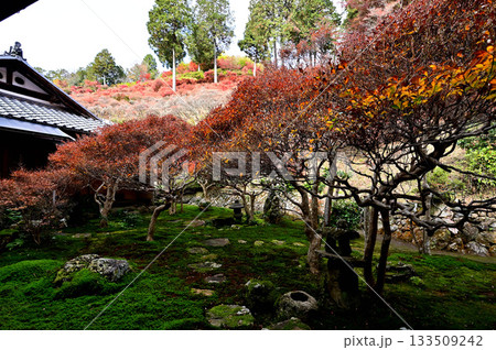大龍寺　庭園 133509242
