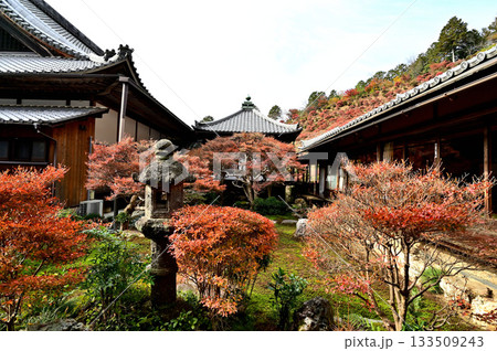 大龍寺　中庭 133509243