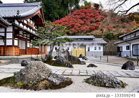 大龍寺 境内 大龍寺 境内 133509245