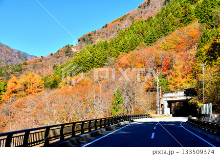 白沢桟道橋付近より白沢第4洞門方面を望む(山梨県早川町)【2025.11】 133509374