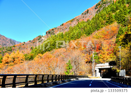 白沢桟道橋付近より白沢第4洞門方面を望む(山梨県早川町)【2025.11】 白沢桟道橋付近より白沢第4洞門方面を望む(山梨県早川町)【2025.11】 133509375